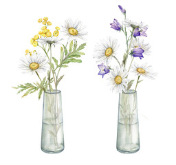 Watercolor Daisy and bluebell. Hand drawn illustration of Chamomile and little violet bell. Tansy in glass jar. bouquet of white blossom flowers on isolated background. Drawing botanical wildflowers.