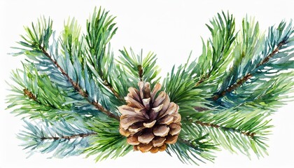 water color wreath with pine isolated