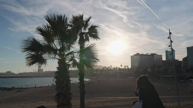 Palm tree and girl against the backdrop of Barcelona beach