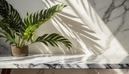 luxury marble table with plant shadow on white wall for product placement display modern minimal...