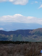fuji