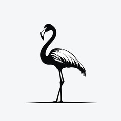 Elegant silhouette of a flamingo standing gracefully with its distinctive pose on a white background.