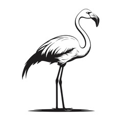 Obraz premium A detailed black and white illustration of a flamingo standing gracefully with its long neck and slender legs, showcasing elegant plumage.