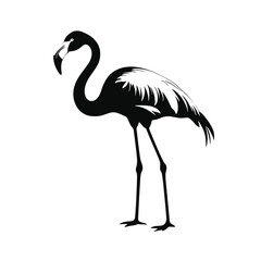 Obraz premium Stylized black and white silhouette of a flamingo with detailed feather outlines on a white background.