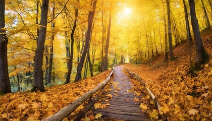 autumn long banner yellow background