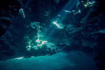 Fototapeta na wymiar The beauty of the underwater world - beautiful space of underwater cave with rays of natural sunlight - scuba diving in the Red Sea, Egypt