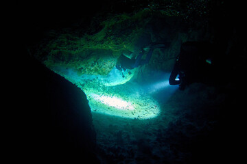 The beauty of the underwater world - a mysterious sight during a night dive with flashlights -...