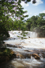 Vertical shot of Agua Azul waterfalls in Chiapas, Mexico.