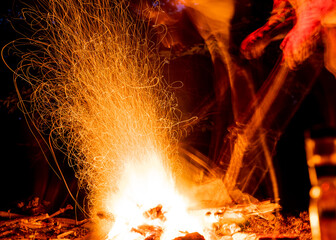 fire in the forest