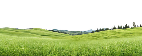 Green valley lanscape cut out