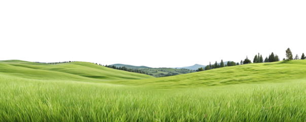 Green valley lanscape cut out