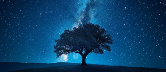 The tree is a celestial beauty in the night sky.