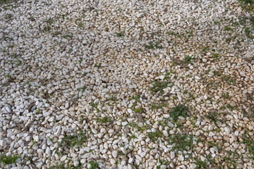 small white pebbles and green grass in between.