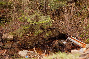 stream of water among the ground and trees in a mountainous area