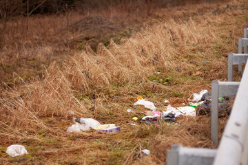 garbage thrown on both sides of the road near the forest, concept of ecology