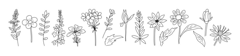 Fototapeta na wymiar Set of tiny wild flowers and plants line art vector botanical illustrations. Trendy greenery hand drawn black ink sketches collection. Modern design for logo, tattoo, wall art, branding and packaging.