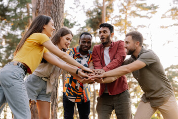 Multiracial group of people, friends give high five and having fun on the picnic