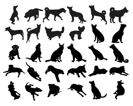 Image of a black dog silhouette in a pose, outline of pet, isolated vector