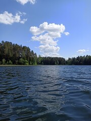 lake in the forest