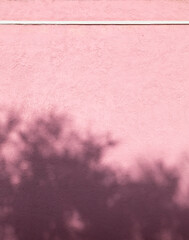 pink wall photography with sunlight and shadows from trees