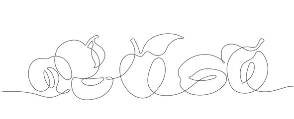 Graphic vector illustration of isolated plums in one line
