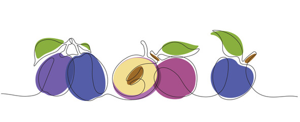 Color vector illustration with plums using one line technique