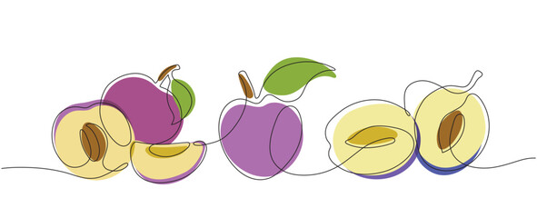 Color clipart with stylized vector plums in one line