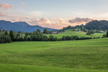 Green landscape in Allgovia, Germany