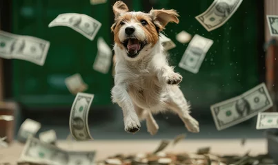 Fotobehang A playful dog, puppy running and jumping among paper money flying in the air. Concept of finance, economy, wealth, animals, richness, riches © CFK