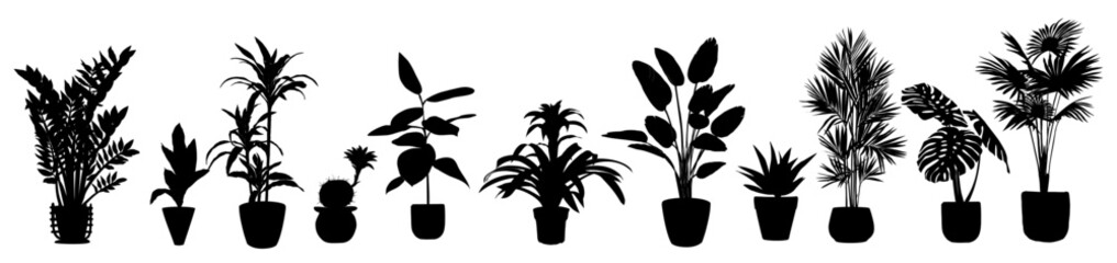 Silhouettes of different House Plants in pot set. Collection of indoor potted decorative houseplants for interior home, office decoration. Monochrome vector illustrations on transparent background.