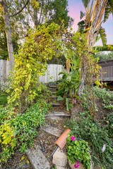 a very pretty garden with plants and a planter on it