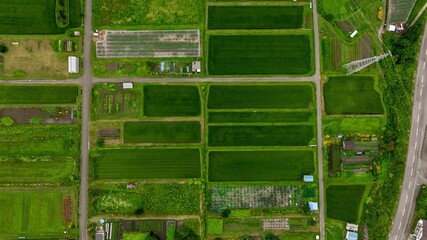 Aerial above rice fields and plantations, in Nagano, Japan - Top down, drone shot © Wirestock