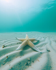 Naklejka premium Underwater Serenity, Starfish on Sandy Sea Floor, Perfect Summer Holiday Scene