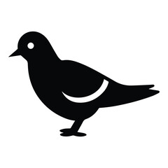 Pigeon Flat Icon Isolated On White Background