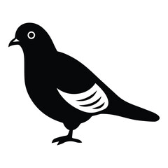 Pigeon Flat Icon Isolated On White Background