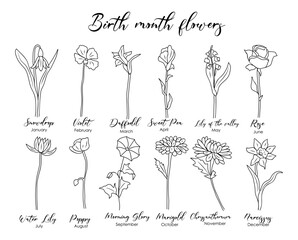 Set of flower line art vector. Snowdrop, daffodil, rose, lily of the valley, violet, poppy, morning glory, marigold hand drawn black ink drawings. Birth month flowers for jewelry, tattoo, logo design. - obrazy, fototapety, plakaty