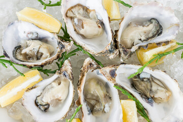 Close up of fresh raw oysters on ice with lemon wedges and garnish
