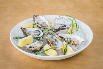 White bowl of fresh raw oysters on ice with lemon wedges and garnish with a light brown background