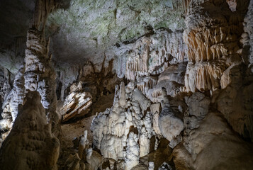 The cave Postojna Cave in Slovenia