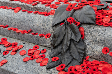 Red poppies on Tomb Of The Unknown Soldier in Ottawa, Canada on Remembrance Day.
