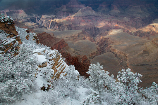 Grand Canyon Snow