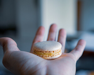 macaroon in hand