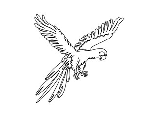 Bird Line Art Drawing