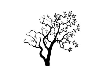 Tree Silhouette drawing
