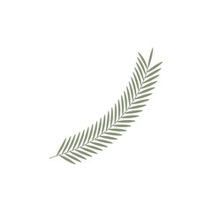 Drawn branch on white background