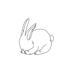 Cute drawn bunny on white background