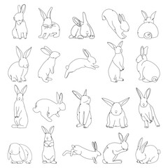 Set of many drawn bunnies on white background