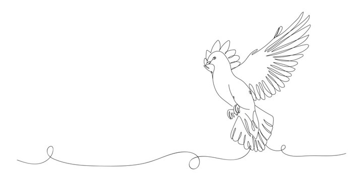Drawn flying dove on white background