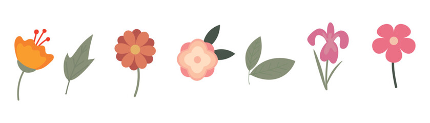 Many drawn flowers and leaves on white background