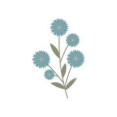 Drawn flowers on white background